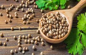 تخم گشنیز توپی درجه۱